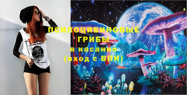 ГАЛЛЮЦИНОГЕННЫЕ ГРИБЫ Липки