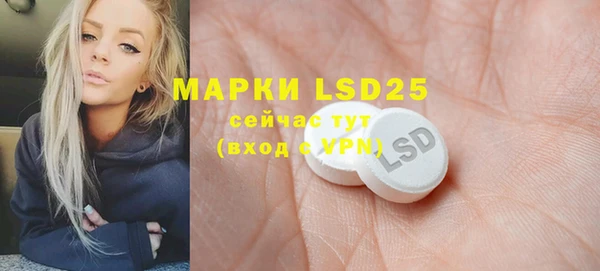 ГАЛЛЮЦИНОГЕННЫЕ ГРИБЫ Липки
