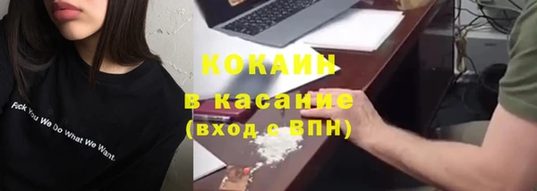 ГАЛЛЮЦИНОГЕННЫЕ ГРИБЫ Липки
