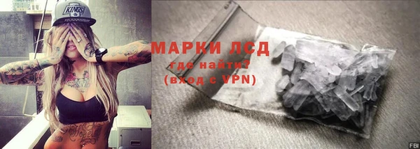 ГАЛЛЮЦИНОГЕННЫЕ ГРИБЫ Липки